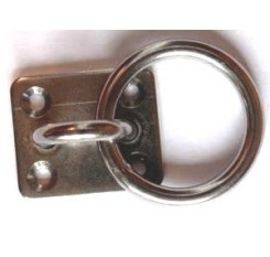 Four Hole Eye Plate With Ring